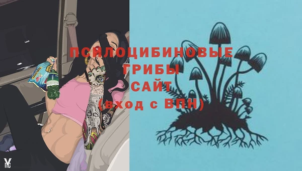 spice Всеволожск