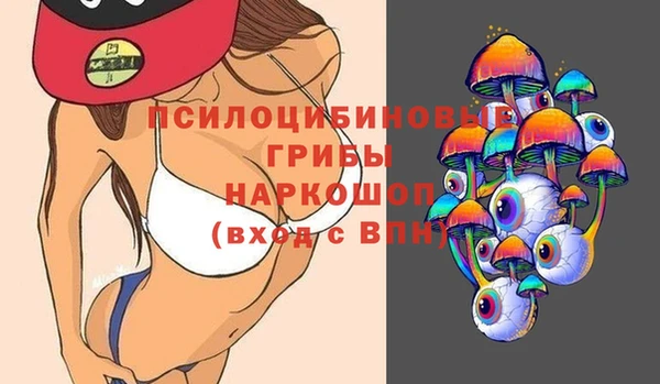 трава Новозыбков