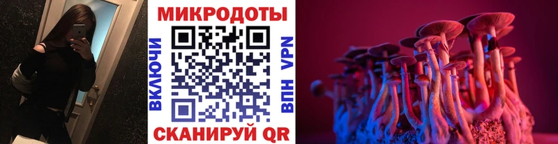 МЕГА как войти  сколько стоит  Калтан  Галлюциногенные грибы прущие грибы 